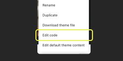 A screenshot showing a pop-up with ‘Edit code’ which is located below ‘Download theme file’