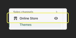 A screenshot showing ‘Online Store’ below Sales Channels