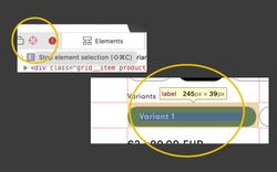 Screenshot showing inspect element and one variant button being targeted.